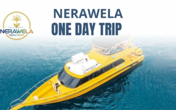NERAWELA TOUR & TRAVEL- ONE DAY TRIP LABUAN BAJO