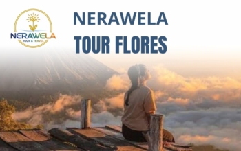 NERAWELA TOUR & TRAVEL - TOUR FLORES ISLAND