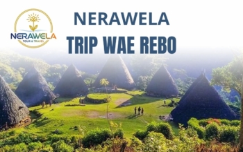 NERAWELA TOUR & TRAVEL - TRIP WAE REBO