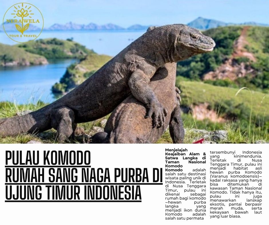 Pulau Komodo: Rumah Sang Naga Purba di Ujung Timur Indonesia