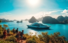 Open Trip vs Private Trip Labuan Bajo: Mana yang Cocok untuk Kamu?