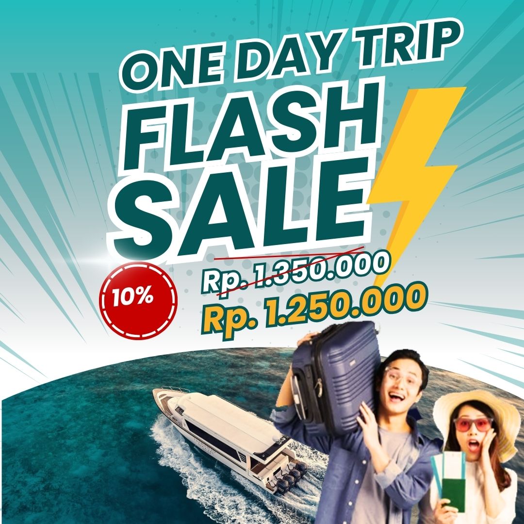 One Day Trip Package Komodo Island