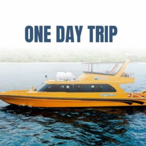 one day island hopping Labuan Bajo