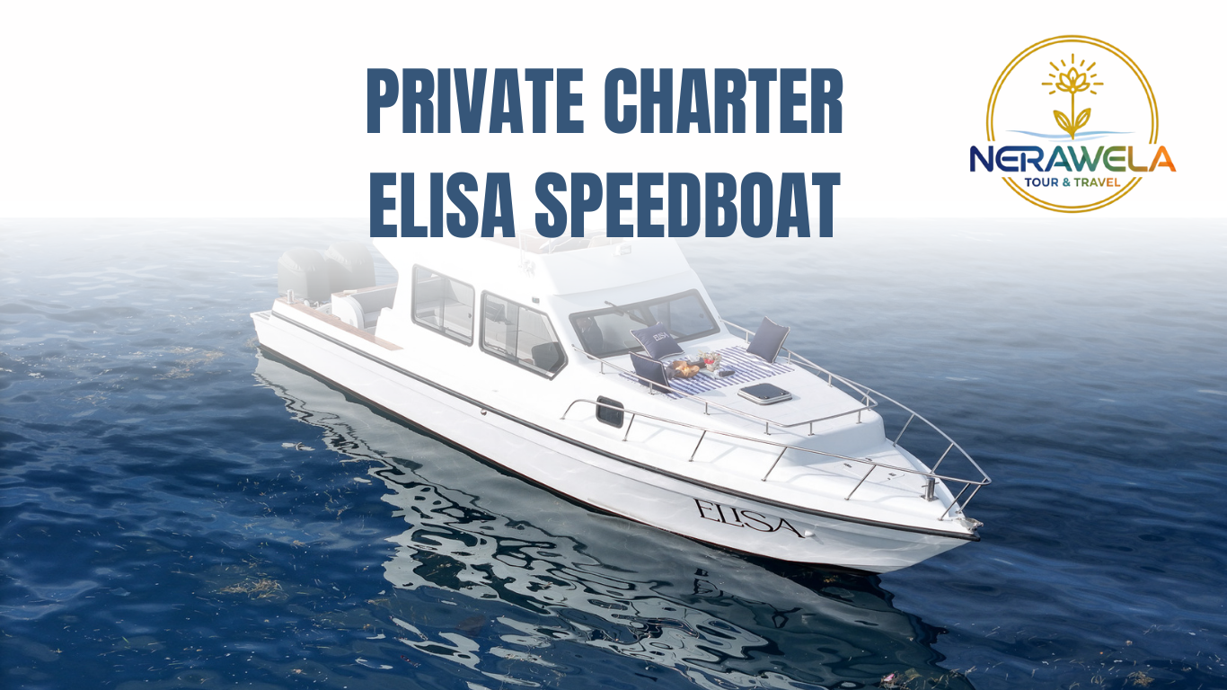 ELISA SPEED BOAT