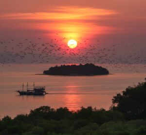 Kalong Island- Sunset destination in Labuan Bajo