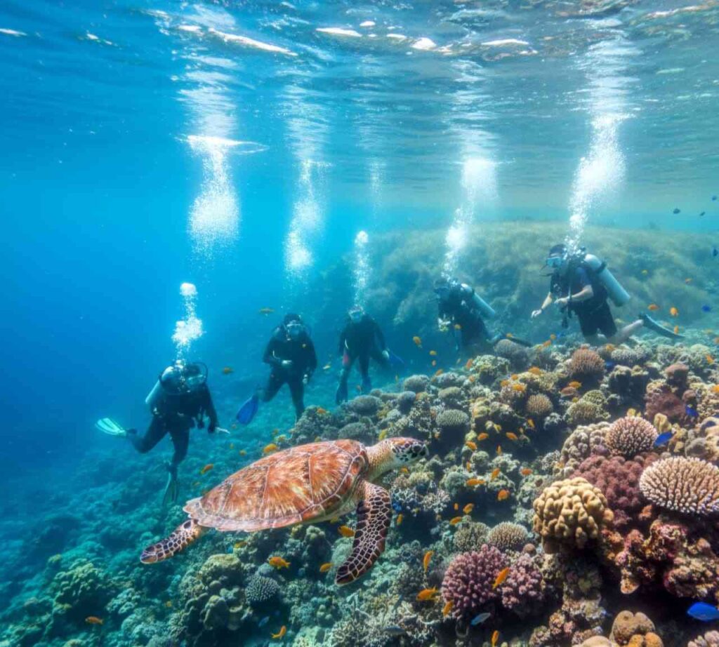 private boat charter Labuan Bajo