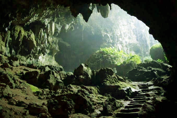 Affordable day tours around Flores Island