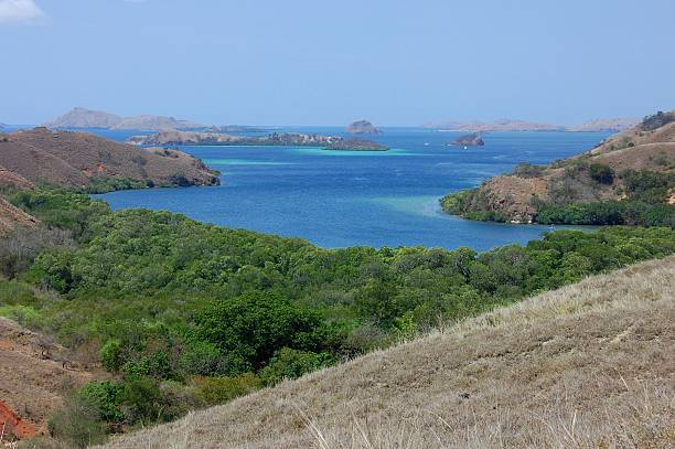 Private Charter Speed Boat Komodo National Park